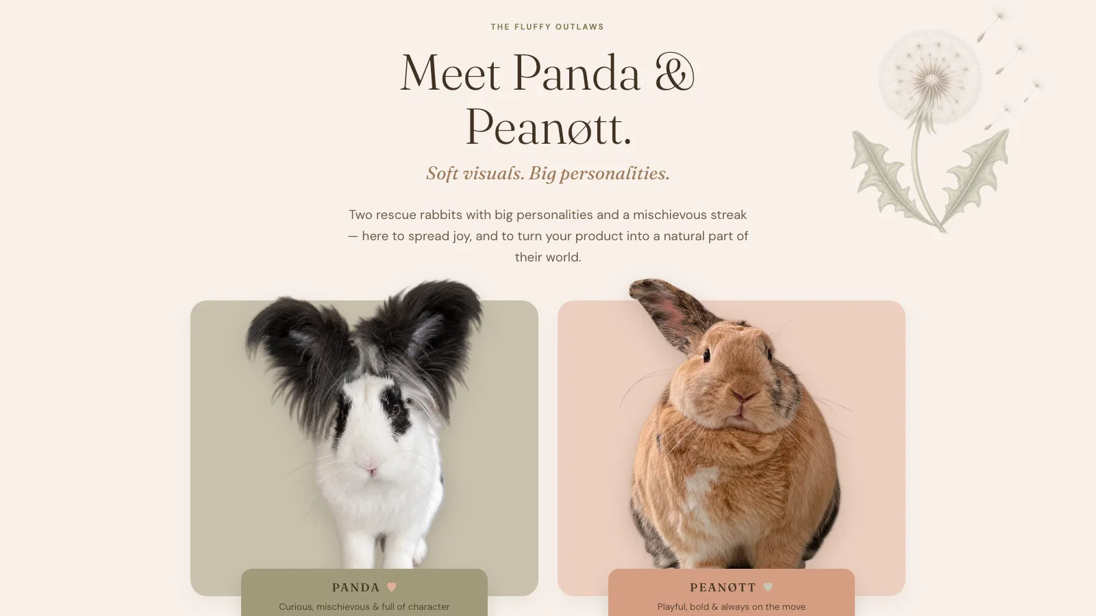 The Fluffy Outlaws website